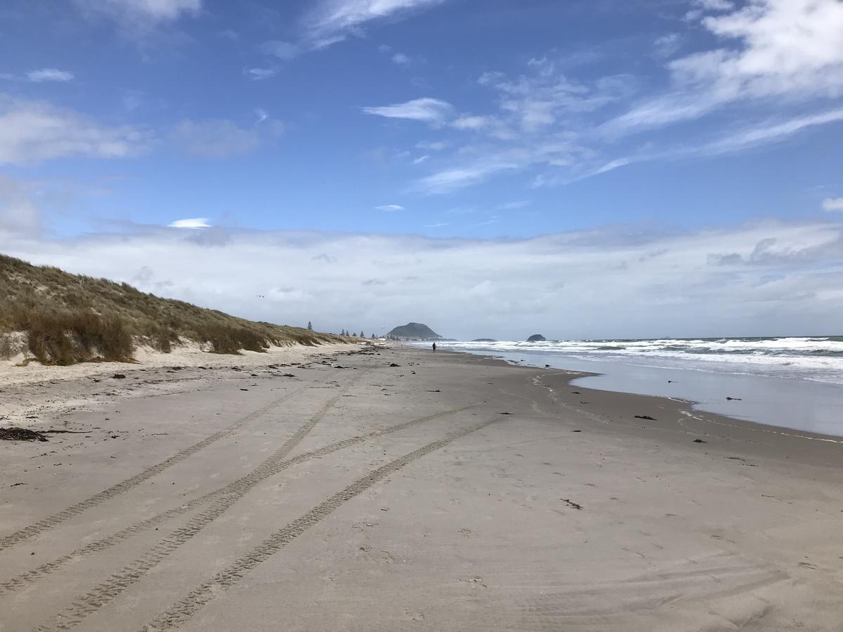 Unit By The Beach Mount Maunganui Exterior foto